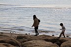悠長な眺め(葛西海浜公園) 2013