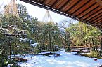 東京成城の雪庭園 2011